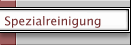 Spezialreinigung